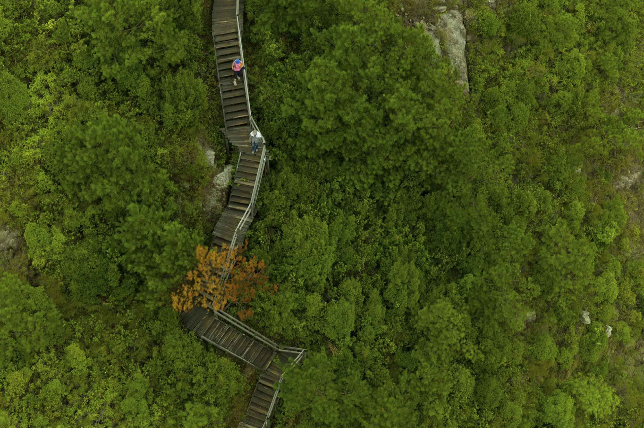 Steps leading to the Po Lin Monastery on Hong Kong’s western Lantau Island, 2011