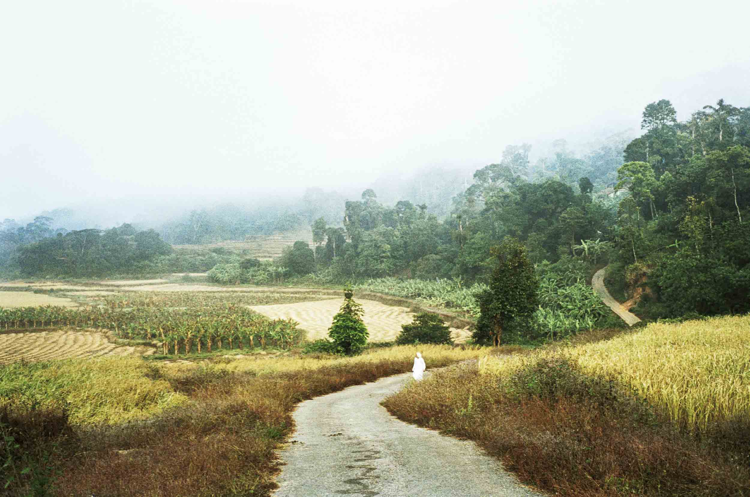 Madikieri is the center of India’s tea country in south India, 2005