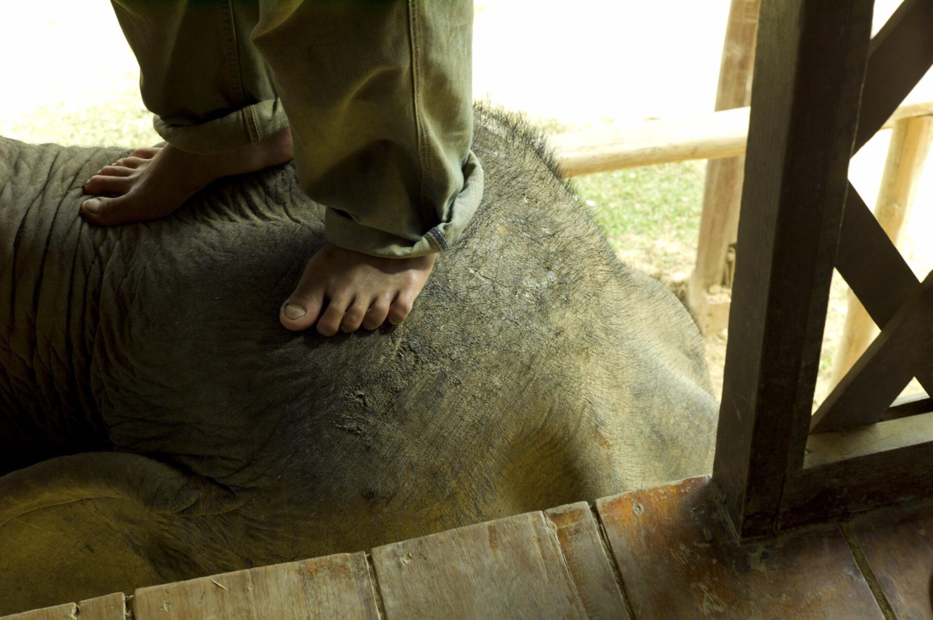 Luang Prabang, 2011
