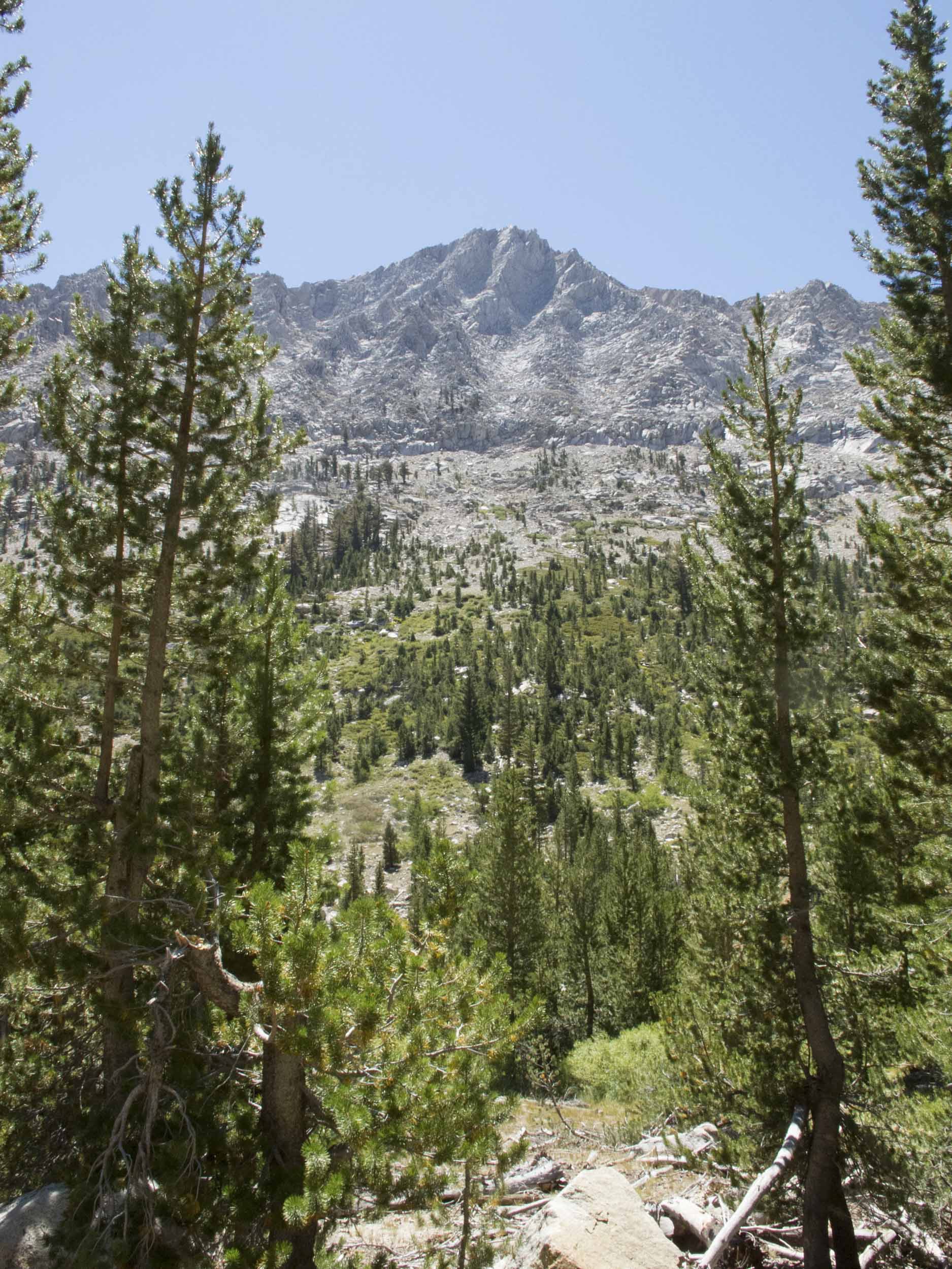 Near Little Claire Lake, Sequoia National Park, California, 2013