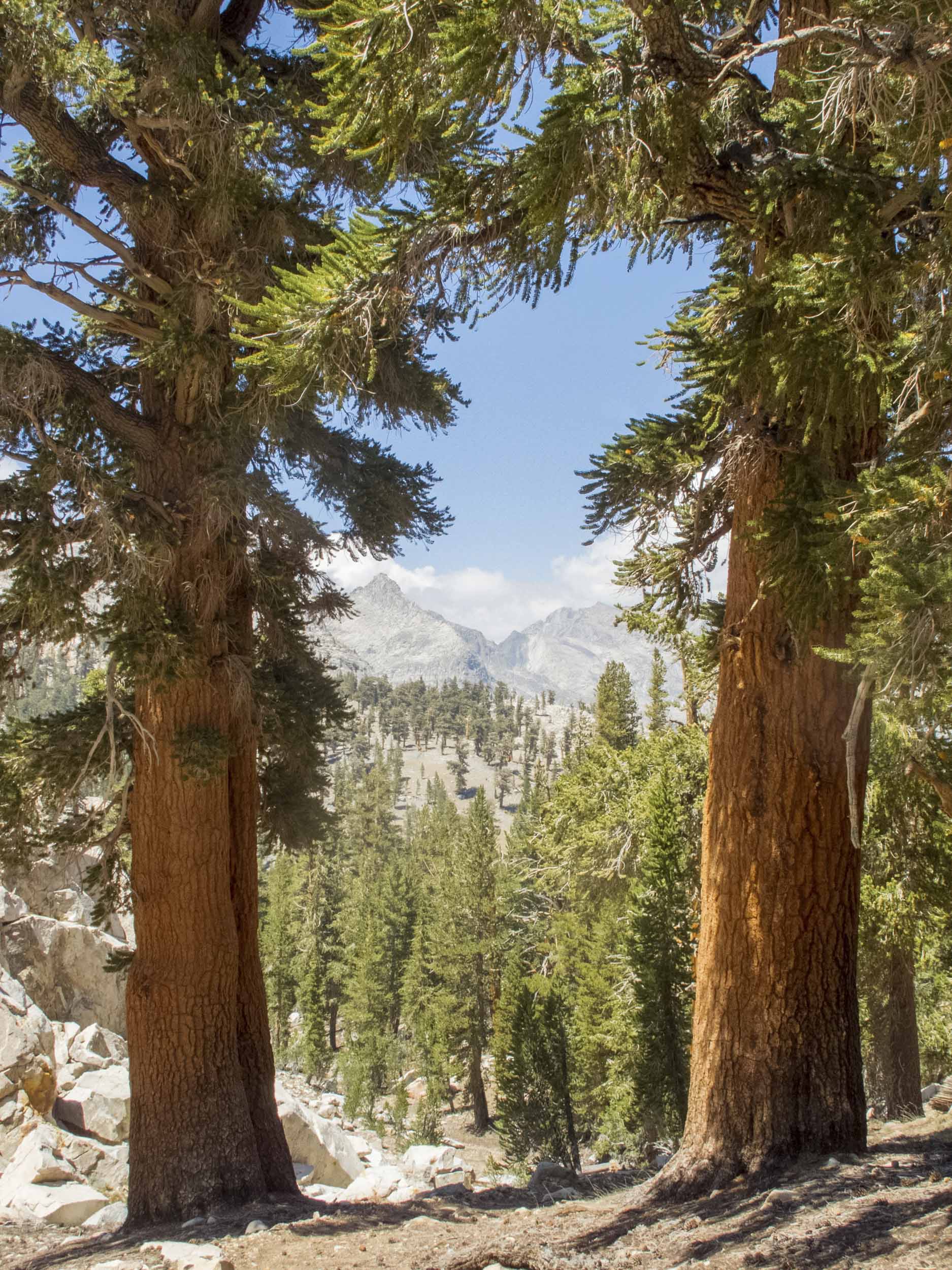 Near Little Five Lakes, Sequoia National Park, California, 2013