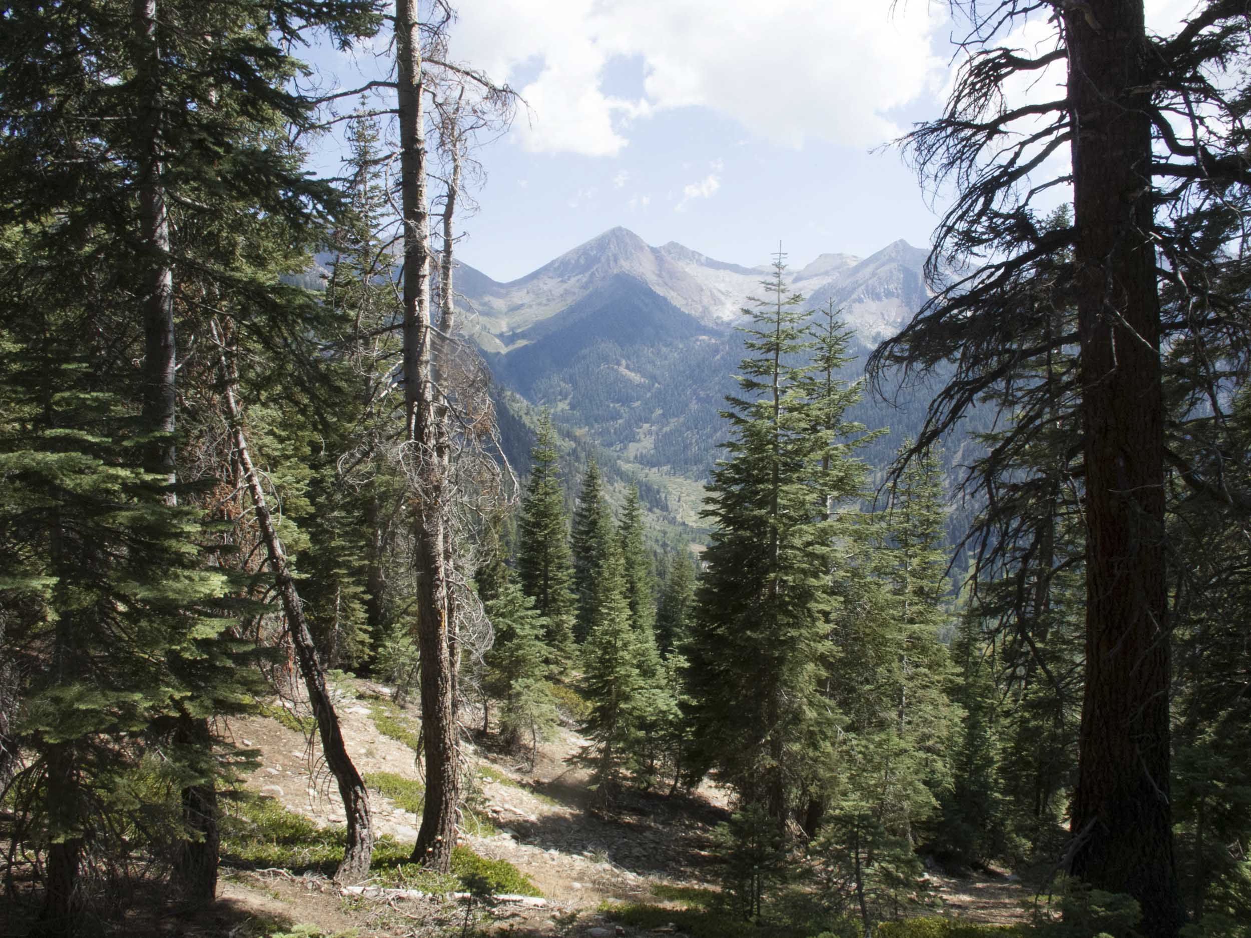 Blackrock Pass, Sequoia National Park, California, 2013