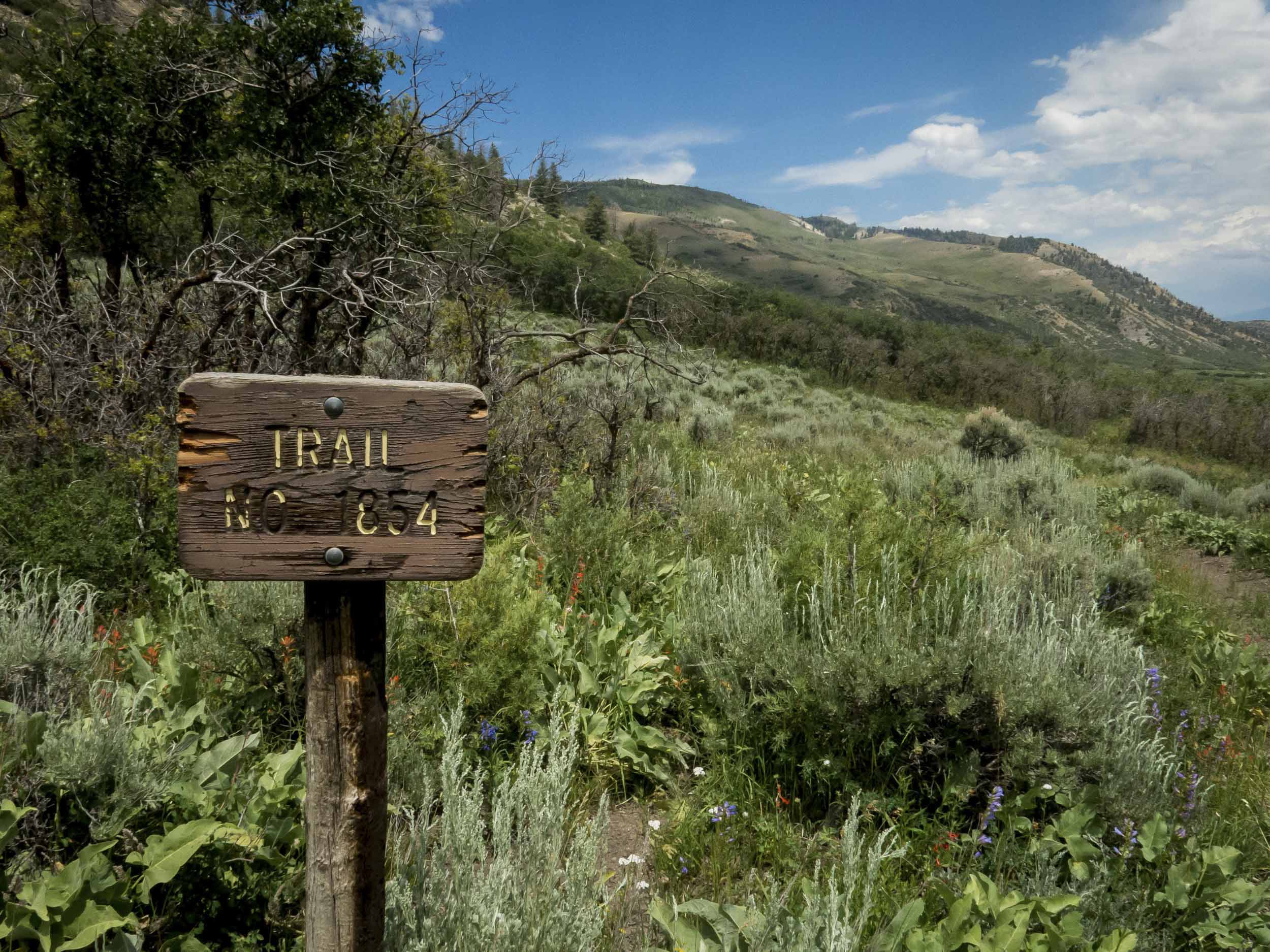 Flattop Mountains, Colorado, 2014